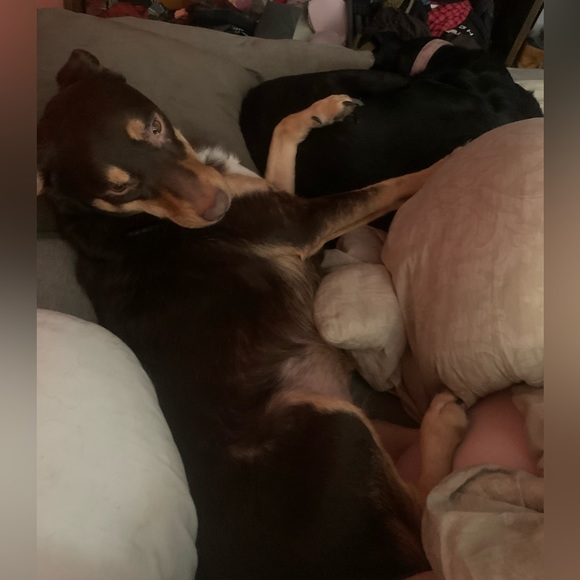 Still here! - Picture 6 of 12